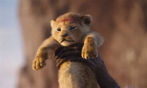 resumo do filme rei leão